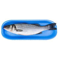 BRANZINO PULITO