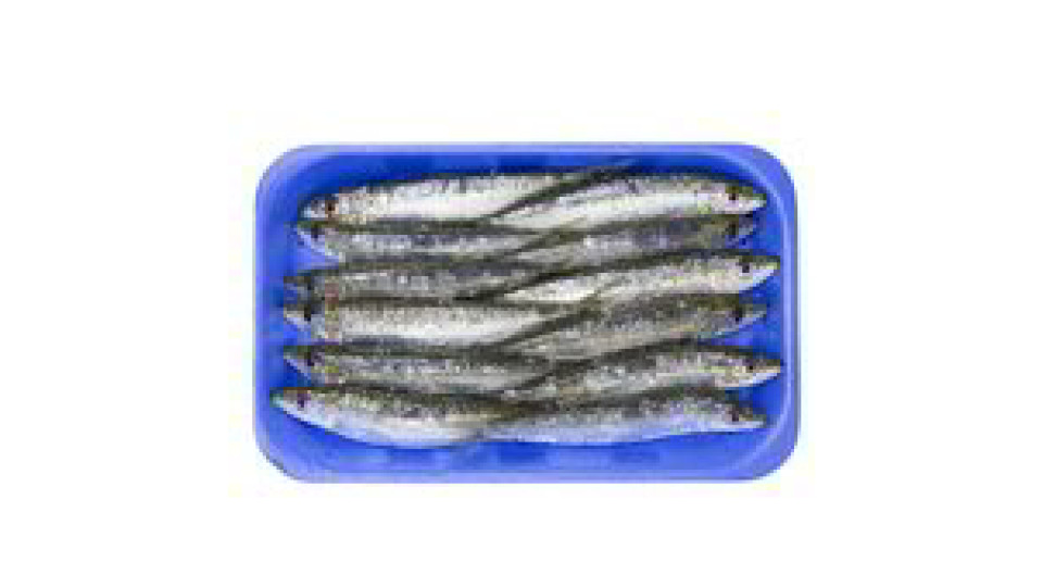 SARDINE