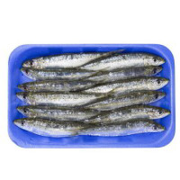 SARDINE