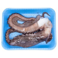 TENTACOLO DI TOTANO GIGANTE