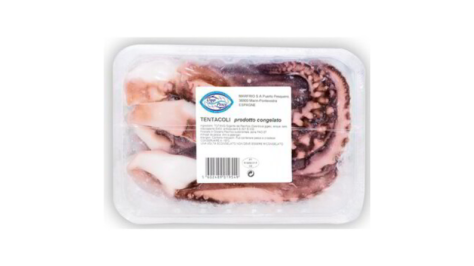 TENTACOLI TOTANO GIGANTE PACIFICO