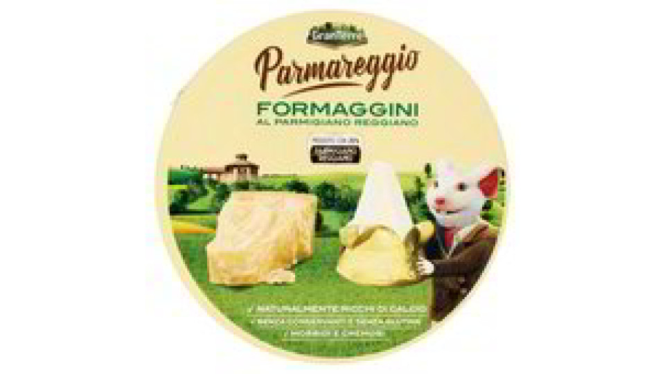 FORMAGGINI
