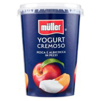 YOGURT CREMOSO ALBICOCCA E PESCA