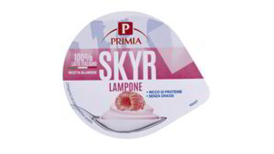 YOGURT SKYR LAMPONE