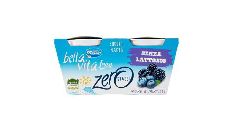 YOGURT MORE/MIRTILLI MAGRO