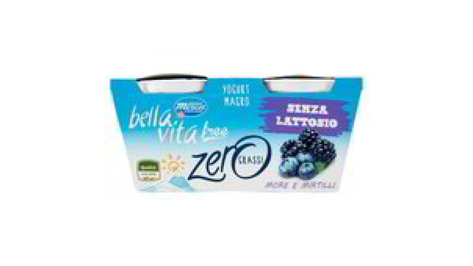 YOGURT MORE/MIRTILLI MAGRO