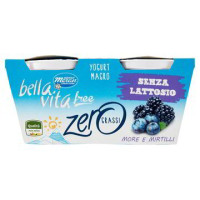 YOGURT MORE/MIRTILLI MAGRO