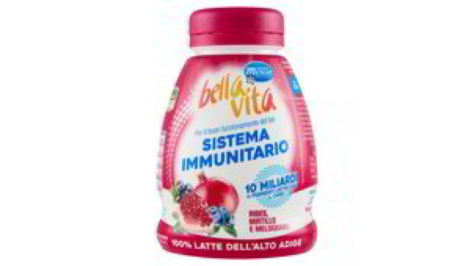 YOG. BERE RIBES/MIRTILLO/MELOG.