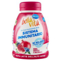 YOG. BERE RIBES/MIRTILLO/MELOG.