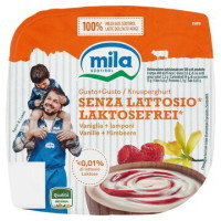 YOG. MIX S/L VANIGLIA E LAMPONI