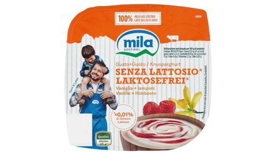 YOG. MIX S/L VANIGLIA E LAMPONI
