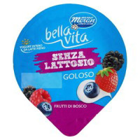 YOGURT FRUTTI DI BOSCO