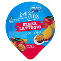 YOGURT MANGO E MARACUJA