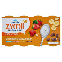YOGURT MIX