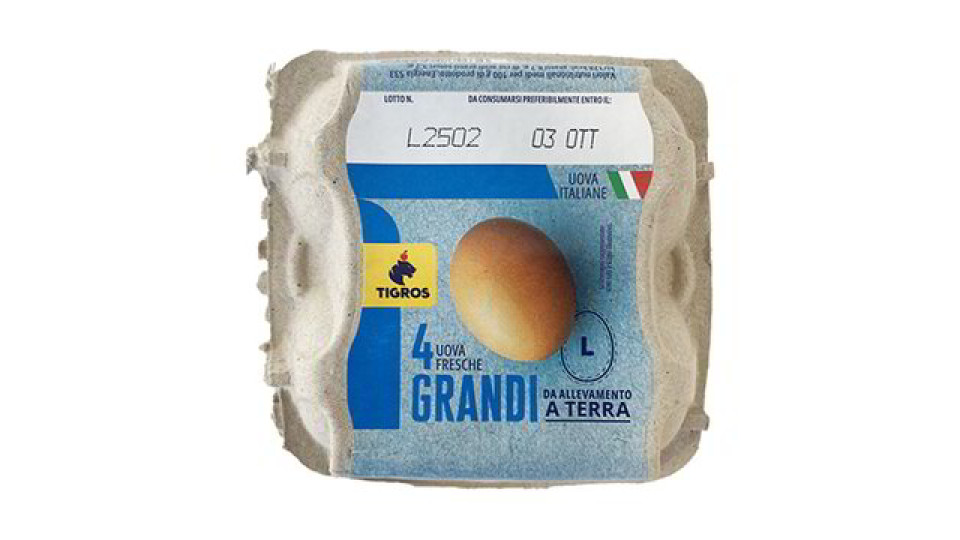 UOVA GRANDI ALLEVATE A TERRA