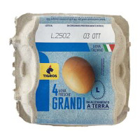 UOVA GRANDI ALLEVATE A TERRA