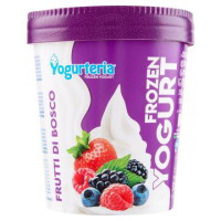 FROZEN YOGURT FRUTTI DI BOSCO
