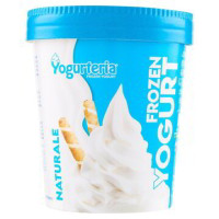 FROZEN YOGURT NATURALE