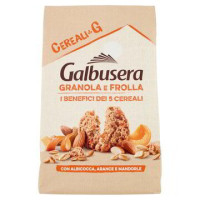 CEREALI G FROLLA FRUTTA
