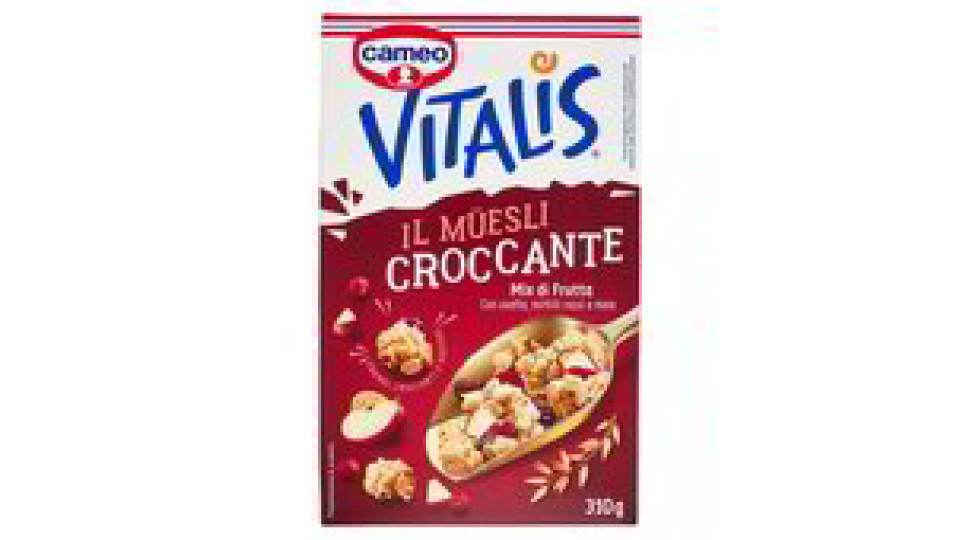 MUESLI CROCCANTE MIX DI FRUTTA
