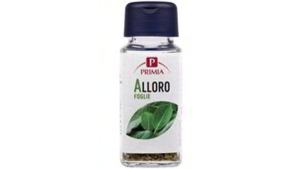 ALLORO FOGLIE VASETTO