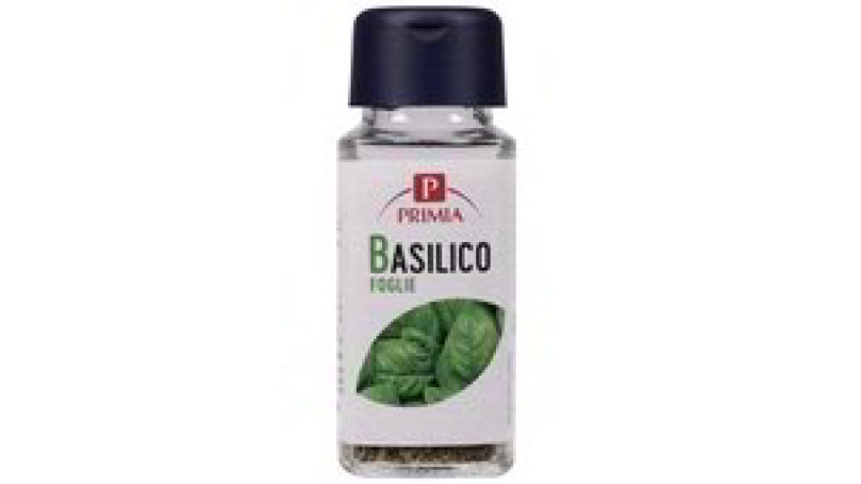 BASILICO FOGLIE VASETTO
