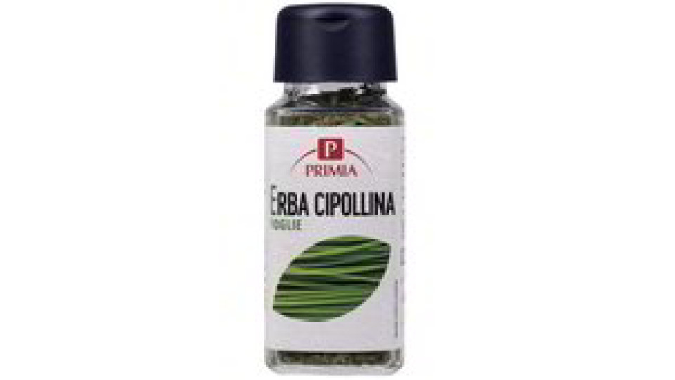 ERBA CIPOLLINA VASETTO