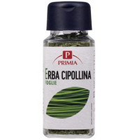 ERBA CIPOLLINA VASETTO