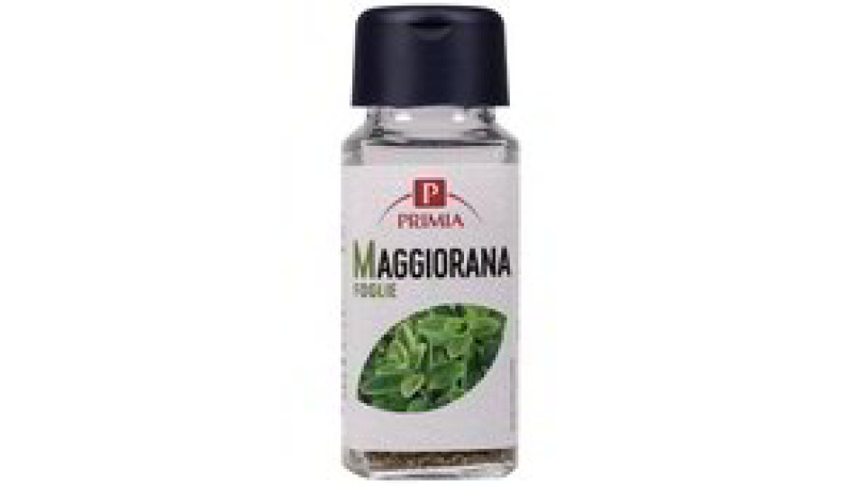 MAGGIORANA FOGLIE VASETTO