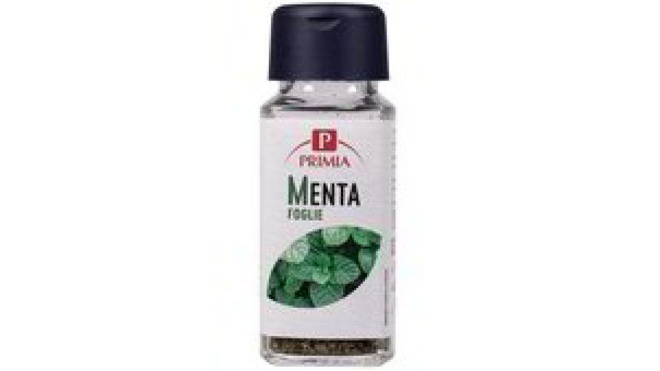MENTA FOGLIE VASETTO