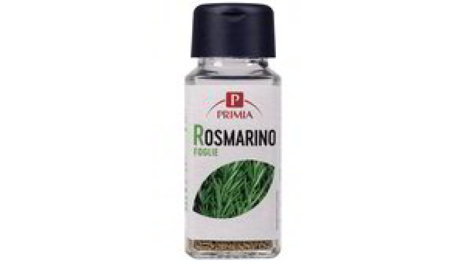 ROSMARINO FOGLIE VASETTO