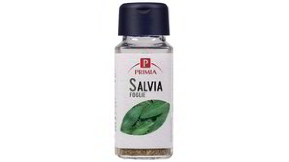 SALVIA FOGLIE VASETTO