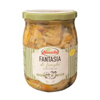 FANTASIA FUNGHI CON PORCINI