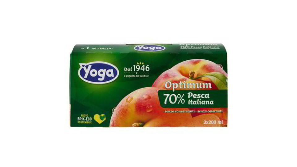 NETTARE PESCA