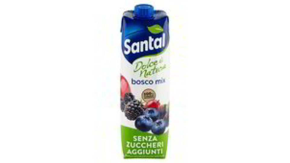 SUCCO FRUTTI DI BOSCO