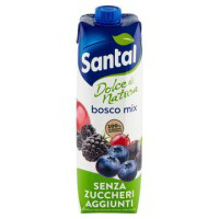 SUCCO FRUTTI DI BOSCO