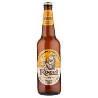 BIRRA PREMIUM LAGER