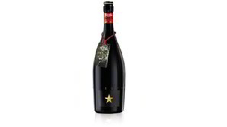 BIRRA SPECIALE BOTTIGLIA
