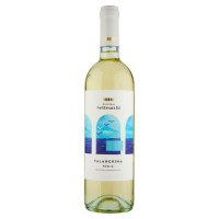 FALANGHINA SALENTO I.G.T.