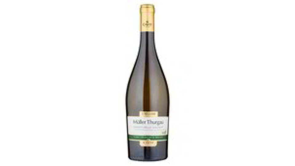 MULLER THURGAU FRIZZANTE IGT