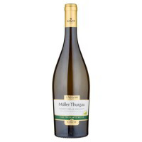 MULLER THURGAU FRIZZANTE IGT