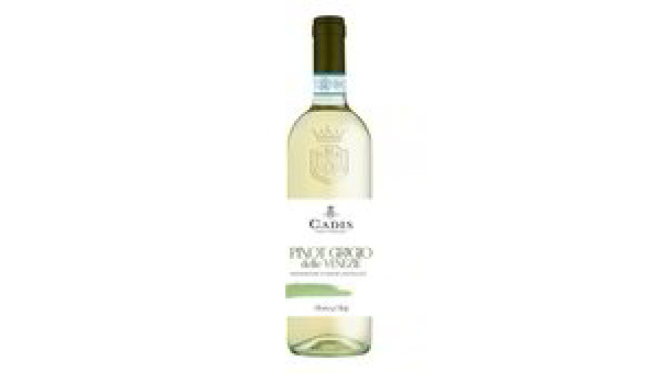 PINOT GRIGIO VENEZ DOC