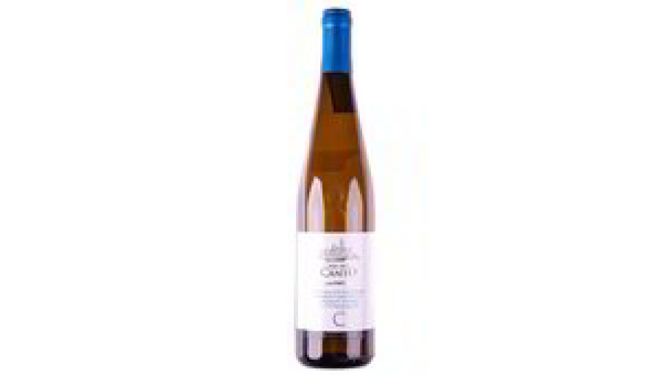 PINOT OLTREPO' PAVESE DOC