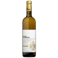 SAUVIGNON COLLIO DOC