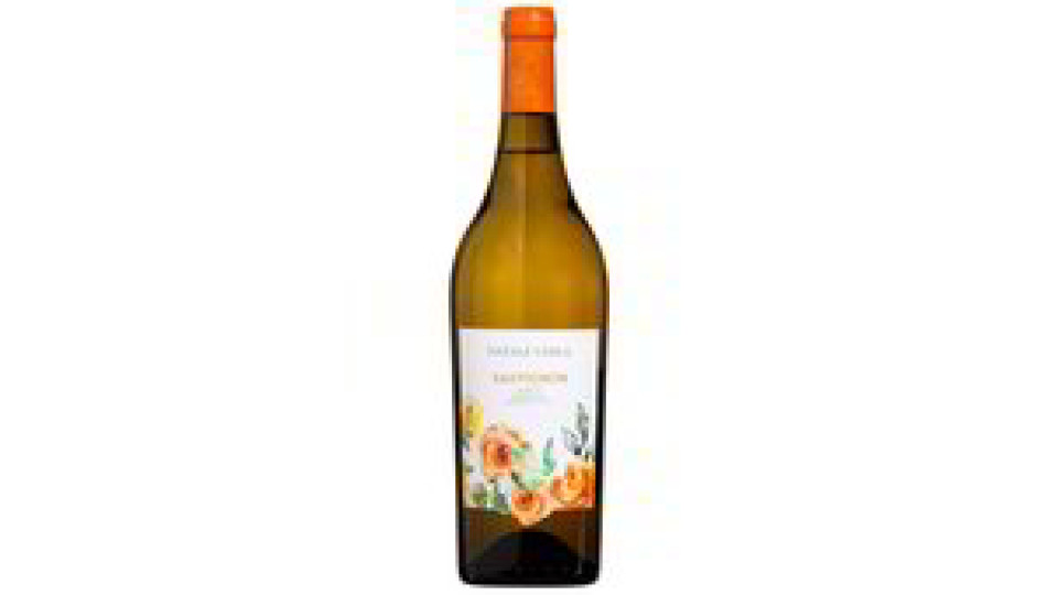 SAUVIGNON VENETO IGT