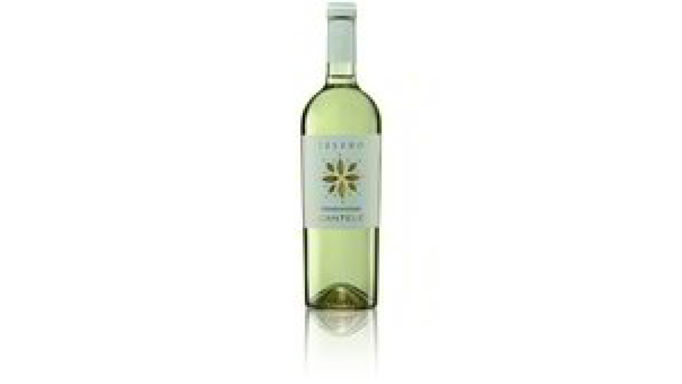 TELERO CHARDONNAY IGP