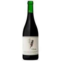 VERDICCHIO MATELICA DOC