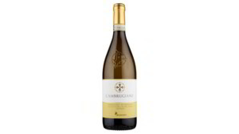 VERDICCHIO MATELICA DOCG