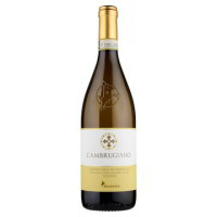 VERDICCHIO MATELICA DOCG