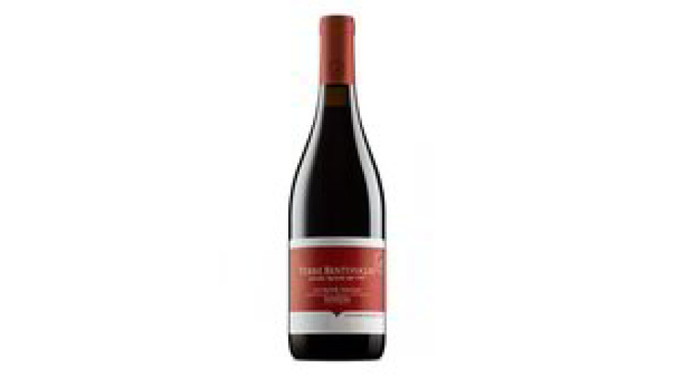 BARBERA OP FRIZZ DOC